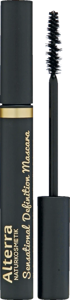 Sensational Definition Mascara 01 - Black