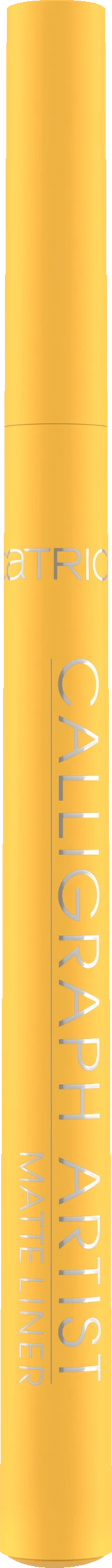 Catrice Calligraph Artist Matte Liner 040